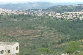 مستوطنة راموت بشمال القدس المحتلة