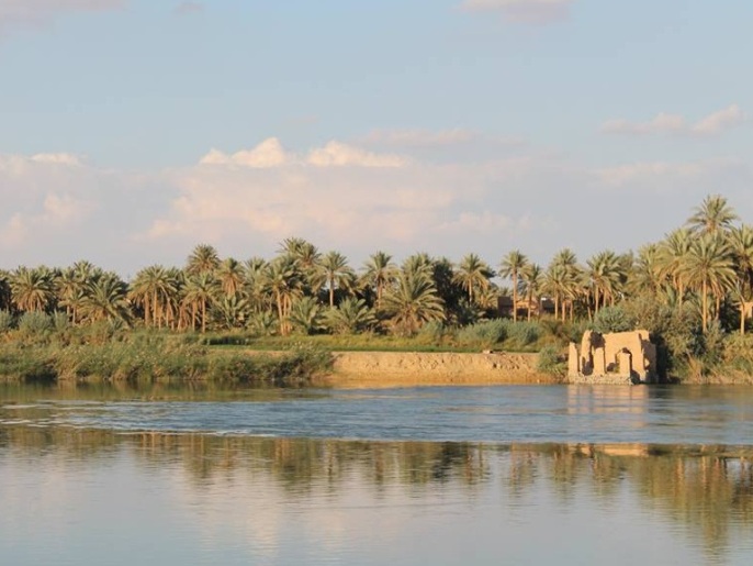 صورة لبعض بساتين النخل على نهر الفرات