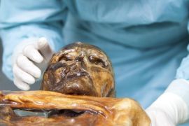 A scientist at the European Academy (Eurac) in Bolzano, northern Italy, examines the Iceman mummy in this November 5, 2012 picture. A 5,300 year-old mummified corpse known as the Iceman, or Oetzi, is offering scientists new clues about a stomach infection. Scientists at the EURAC Institute of Mummies and the Iceman in northern Italy removed the bacteria Helicobacter pylori from the mummy and conducted a DNA analysis. It showed the Iceman had an unmixed strain of the bacteria not seen in modern humans. REUTERS/South Tyrol Museum of Archaeology/EURAC/M.Lafogler/Handout via Reuters ATTENTION EDITORS - THIS PICTURE WAS PROVIDED BY A THIRD PARTY. REUTERS IS UNABLE TO INDEPENDENTLY VERIFY THE AUTHENTICITY, CONTENT, LOCATION OR DATE OF THIS IMAGE. EDITORIAL USE ONLY. NOT FOR SALE FOR MARKETING OR ADVERTISING CAMPAIGNS. NO RESALES. NO ARCHIVE. THIS PICTURE IS DISTRIBUTED EXACTLY AS RECEIVED BY REUTERS, AS A SERVICE TO CLIENTS