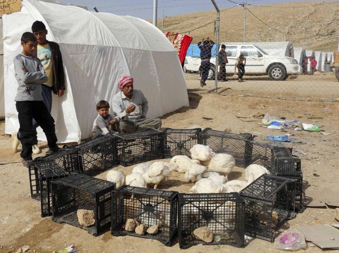 Yazidi refugees sell chickens at a refugee camp on the outskirts of Duhok, February 28, 2015. Picture taken February 28, 2015. REUTERS/Asmaa Waguih (IRAQ - Tags: CIVIL UNREST CONFLICT SOCIETY IMMIGRATION ANIMALS)