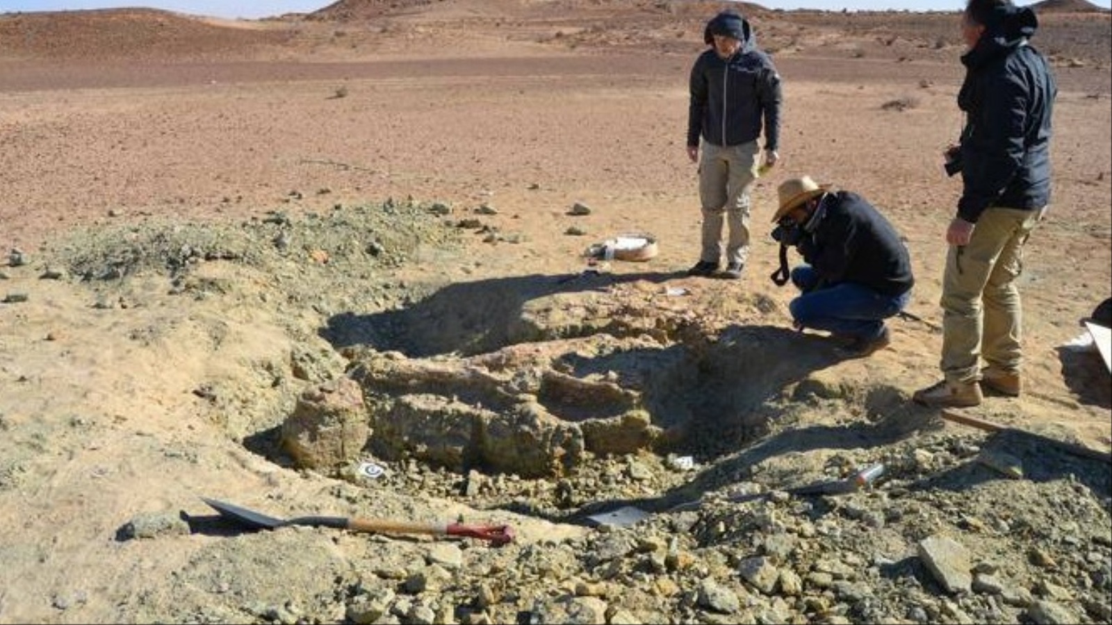 ‪اكتشاف هذه الحفرية يزعزع صحة نظرية الانقراض الشامل بنهاية العصر الجوراسي‬ (الجزيرة)