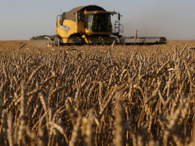 A combine harvester works on a wheat field of the Solgonskoye farming company near the village of Talniki, southwest from Siberian city of Krasnoyarsk, Russia, August 27, 2015. Russia, one of the world's top wheat exporters, will harvest its third-largest grain crop in post-Soviet history this year, leading Russian consultancy SovEcon said on August 27 after upgrading its forecast. Picture taken August 27, 2015. REUTERS/Ilya Naymushin