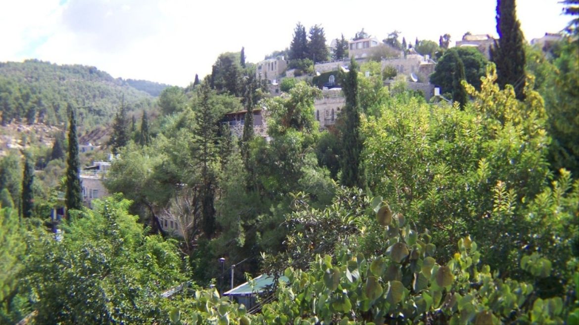معالم قرية عين كارم المهجرة في القدس