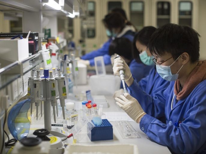 Lab technicians work on preparation work for sequencing in a Beijing Genomics Institute (BGI) facility in Hong Kong, China, 02 December 2015. A team of scientists at BGI, a leading genome sequencing organization, has launched a crowd funding project to sequence the genome of the Bauhinia tree. It will be the first Hong Kong genome project, funded by the public, sequenced in Hong Kong as well as assembled and analysed by local students and directly shared with the public. The flower of the orchid tree Bauhinia blakeana has been the emblem of Hong Kong since 1965 and has been part of the flag of the Hong Kong Special Administrative Region since the handover to China in 1997.