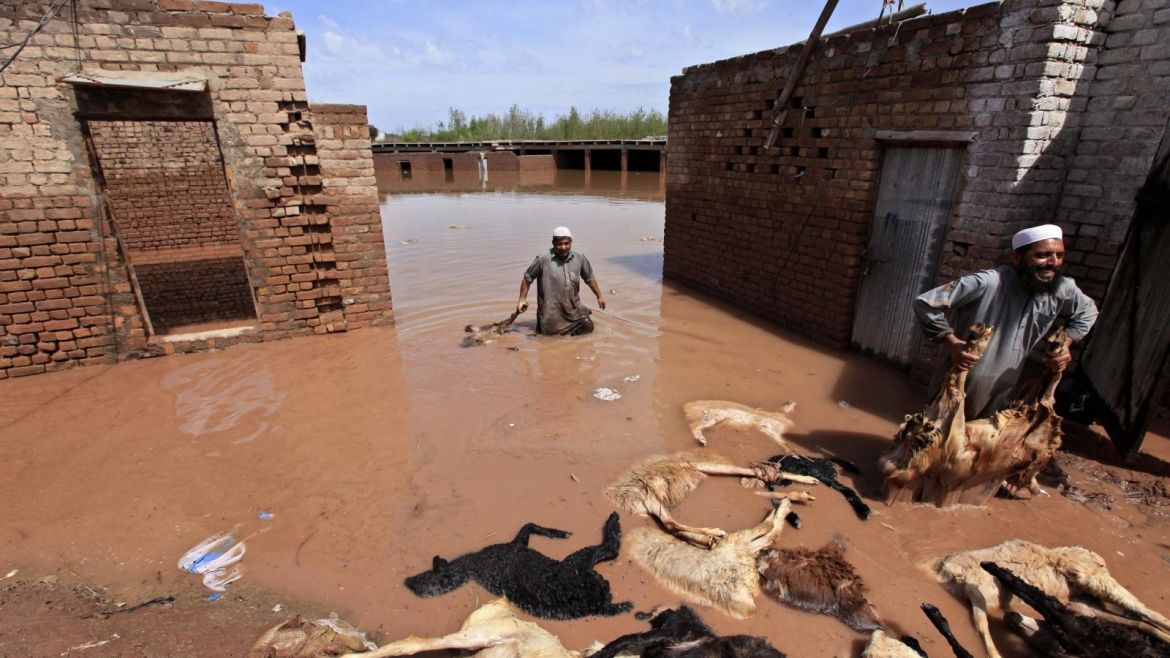 People collect corps of dead sheep from their flooded farm house, on the outskirts of Peshawar, the provincial capital of Khyber-Pakhtunkhwa province, Pakistan, 04 April 2016. At least 53 people were killed in floods triggered by torrential rains in Pakistan's Khyber-Pakhtunkhwa province and Gilgit-Baltistan.