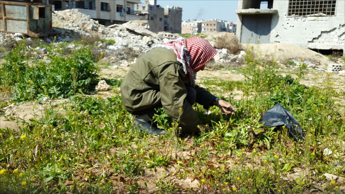 فلسطين تحت المجهر- رجل يقتات الأعشاب بمخيم اليرموك
