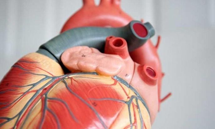 دراسة تكشف عن علاج جيني محتمل لأمراض القلب