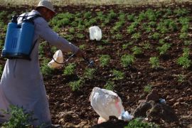 مزارع سوري يرش مبيدات للقضاء على الجراد