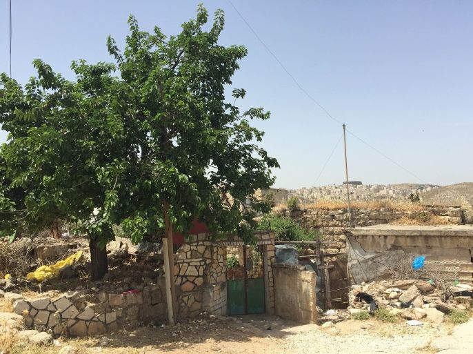 شجرة مشمش أمام منزل مهجور في بلدة بيت حنينا غرب القدس حيث هاجر أغلب سكان البلدة إلى أميركا