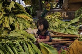 الأخطار تهدد الأطفال العاملين بمزارع التبغ الإندونيسية