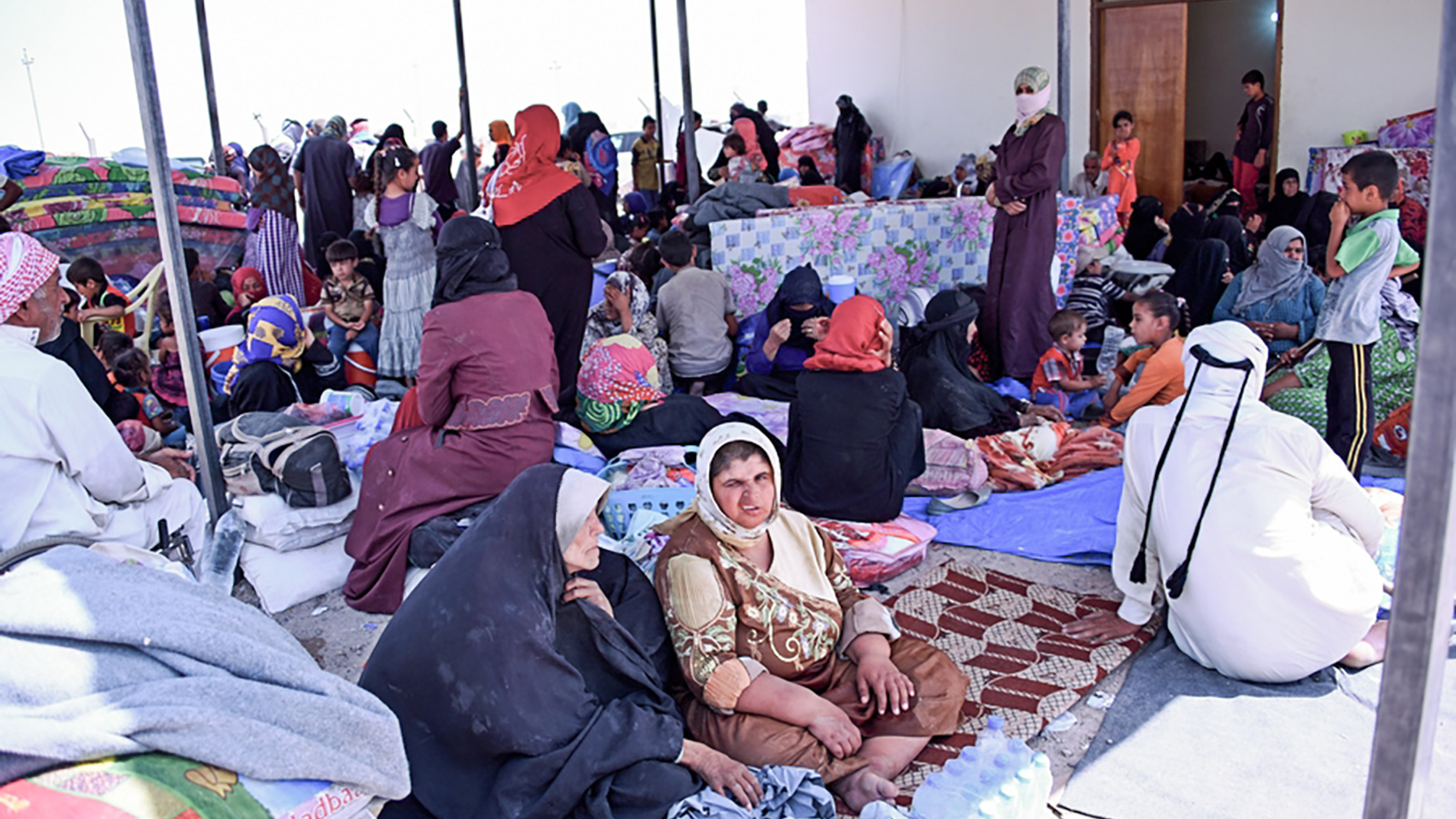 ‪المجلس النرويجي للاجئين دعا الحكومة العراقية إلى الإسراع بإغاثة نازحي الفلوجة‬ (وكالات)