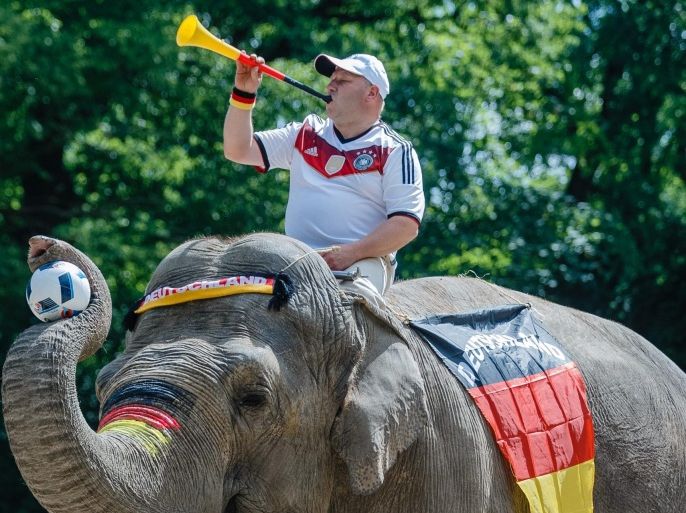 Cow elephant Mogli and a zoo keeper show their support for the German national soccer team, at Hamburg's Zoo (Tierpark Hagenbeck) in Hamburg, Germany, 09 June 2016. Germany will take part in the UEFA Euro 2016 soccer tournament held in France, starting 10 June.