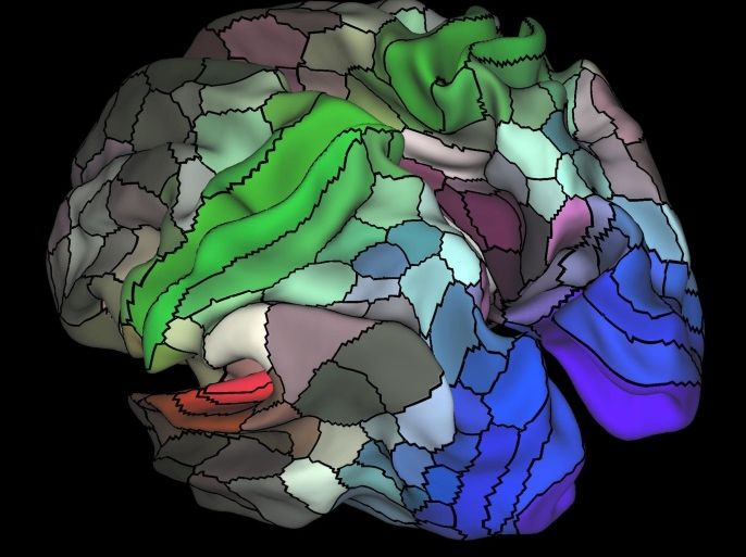 A 180-area multimodal human cortical parcellation on the left and right hemisphere surfaces of the human brain is pictured in this undated handout image. Neuroscientists have devised the most comprehensive map ever made of the cerebral cortex, the part of the brain responsible for higher cognitive functions like abstract thought, language and memory. Matthew F. Glasser, David C. Van Essen/Handout via REUTERS ATTENTION EDITORS - THIS IMAGE WAS PROVIDED BY A THIRD PARTY. EDITORIAL USE ONLY. NO RESALES. NO ARCHIVE.