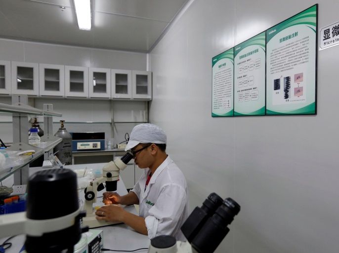 A lab technician works at the "microinjection area" inside Sun Yat-Sen University-Michigan State University Joint Center of Vector Control for Tropical Disease, the world’s largest "mosquito factory" which breeds millions of bacteria-infected mosquitoes, in the fight against the spread of viruses such as dengue and Zika, in Guangzhou, China July 28, 2016. Picture taken July 28, 2016. REUTERS/Bobby Yip