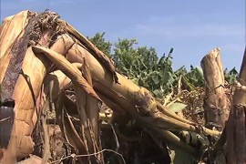 فيضانات تضرب جنوب شرقي السودان
