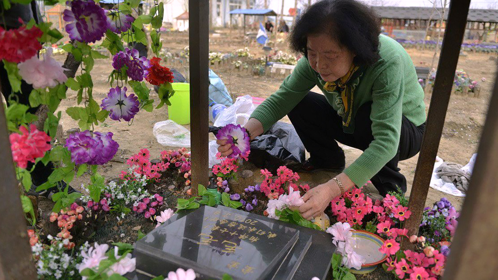 صينية تضع الورود على قبر كلب مات منذ ستة أعوام (الجزيرة)