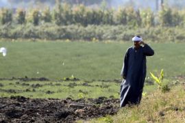 A farmer looks as he stands near a field where rice straw was burned in preparation for the next harvest, at a paddy field in the beginning of an agricultural road leading to Cairo, Egypt in this November 1, 2014 file photo. REUTERS/Amr Abdallah Dalsh/Files