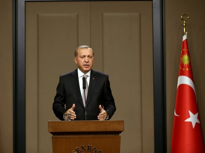 الرئيس التركي رجب طيب ادروغان في مؤتمر صحفي بأنقرة (الأناضول)