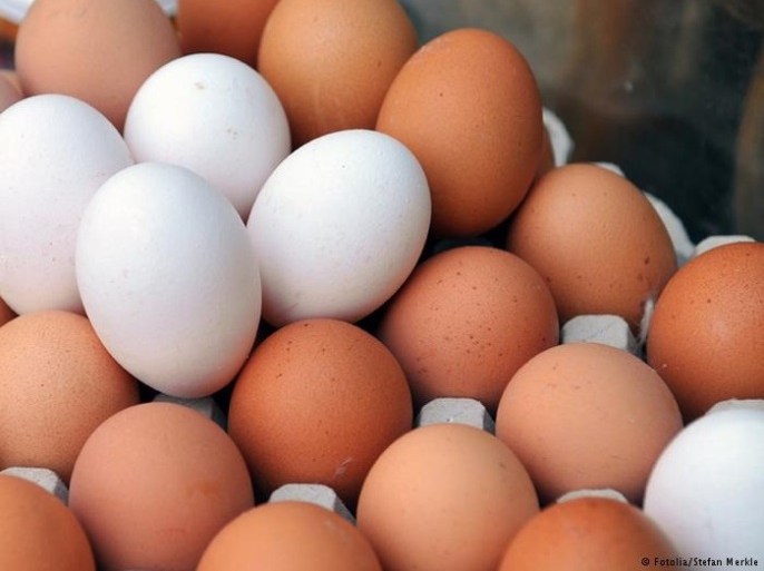 هل البيض البني أفضل من الأبيض؟ ولماذا أغلى؟ | أوروبا أخبار | الجزيرة نت