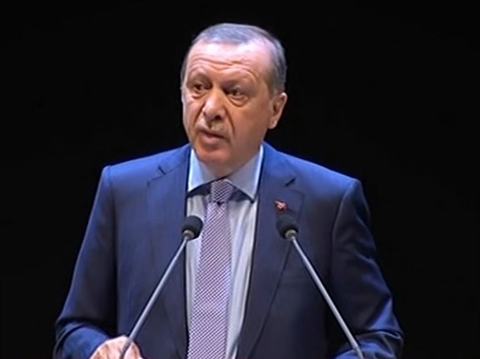أردوغان: تركيا تقوم بعمليات كبرى في شمال العراق وسوريا بهدف تطهير حدود بلادها من خطر الإرهاب