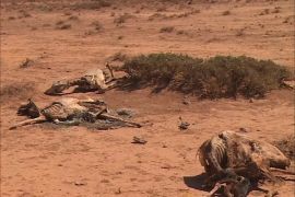 الجفاف يضرب مناطق واسعة في الصومال