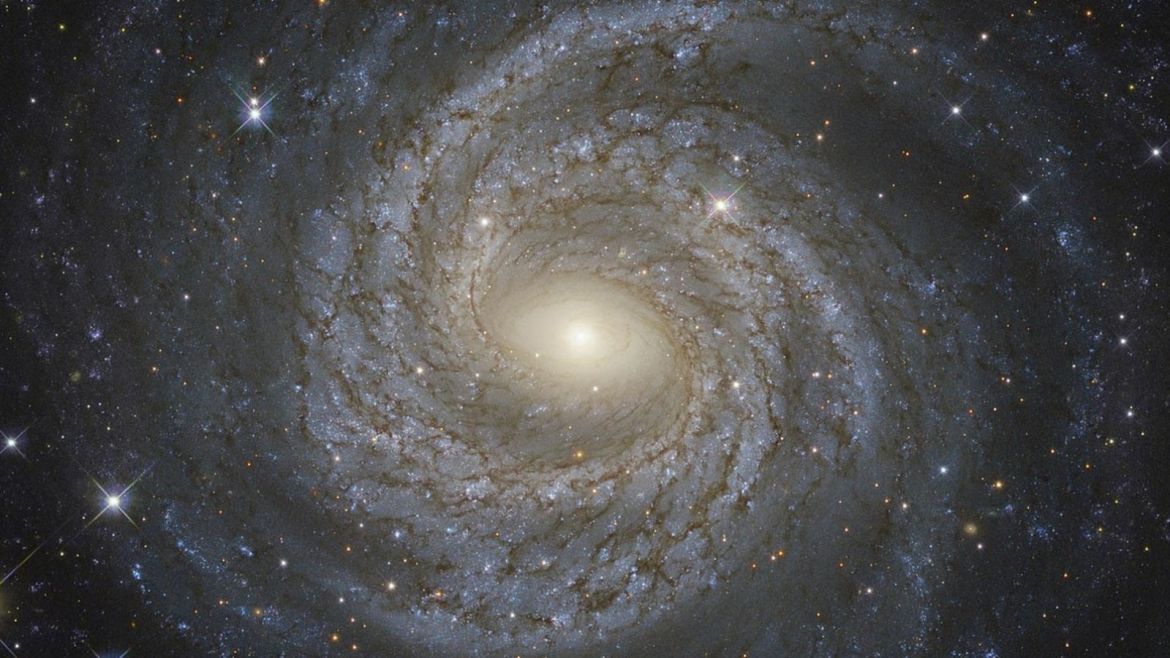 A NASA/ESA Hubble Space Telescope image shows a spiral galaxy NGC 6814, whose luminous nucleus and spectacular sweeping arms, rippled with an intricate pattern of dark dust, is a highly variable source of X-ray radiation, causing scientists to suspect that it hosts a supermassive black hole with a mass about 18 million times that of the Sun.  Courtesy NASA/Handout via REUTERS   ATTENTION EDITORS - THIS IMAGE WAS PROVIDED BY A THIRD PARTY. EDITORIAL USE ONLY