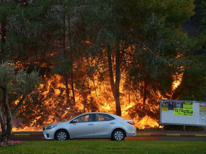 A car drives past burning trees as a wildfire rages in the northern city of Haifa, Israel November 24, 2016. REUTERS/Gil Eliyahu ISRAEL OUT. NO COMMERCIAL OR EDITORIAL SALES IN ISRAEL