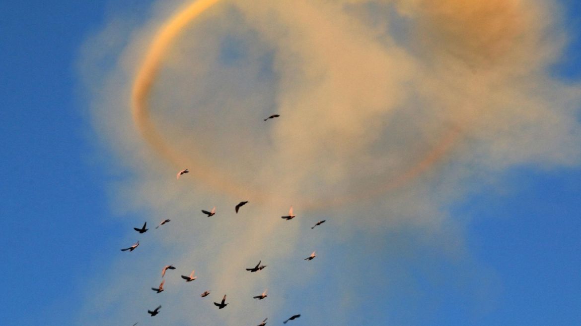 Birds fly near rising smoke and a smoke ring after a strike on the rebel-held besieged al-Shaar neighbourhood of Aleppo, Syria November 26, 2016. REUTERS/Abdalrhman Ismail