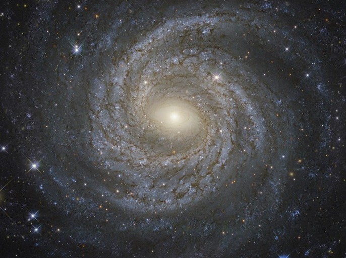 A NASA/ESA Hubble Space Telescope image shows a spiral galaxy NGC 6814, whose luminous nucleus and spectacular sweeping arms, rippled with an intricate pattern of dark dust, is a highly variable source of X-ray radiation, causing scientists to suspect that it hosts a supermassive black hole with a mass about 18 million times that of the Sun. Courtesy NASA/Handout via REUTERS ATTENTION EDITORS - THIS IMAGE WAS PROVIDED BY A THIRD PARTY. EDITORIAL USE ONLY