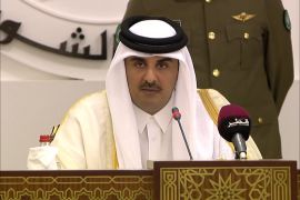 الشيخ تميم بن حمد آل ثاني/أمير دولة قطر