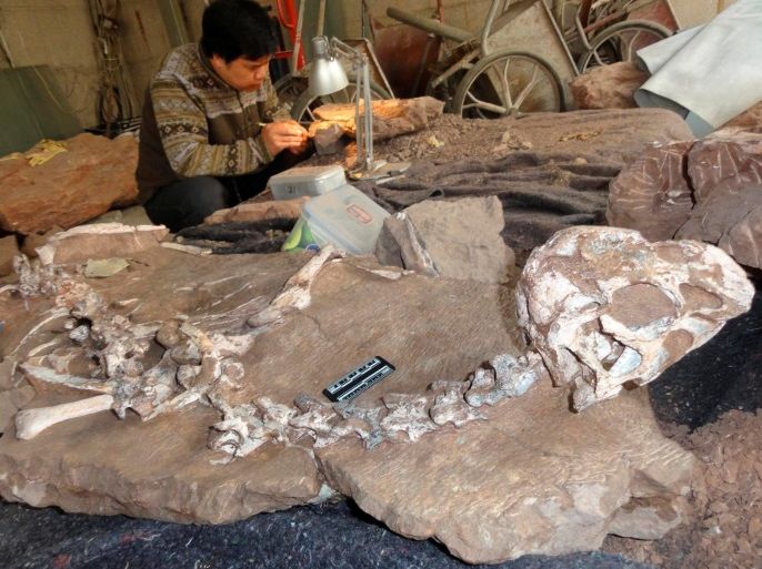 A well-preserved fossil of a new species of winged dinosaur, known as Tongtianlong or Mud Dragon, is seen in an undated handout picture. Junchang Lu/Handout via REUTERS ATTENTION EDITORS - THIS IMAGE WAS PROVIDED BY A THIRD PARTY. EDITORIAL USE ONLY. NO RESALES. NO ARCHIVE.
