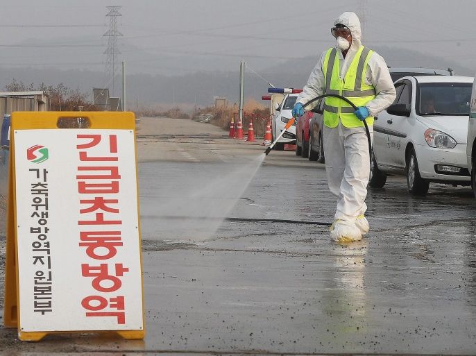 A quarantine official disinfects a road leading to a chicken farm in Pyeongtaek, west of Seoul, South Korea, 05 December 2016. A suspected case of avian influenza was reported at the farm on 05 December 2016. EPA/YONHAP SOUTH KOREA OUT