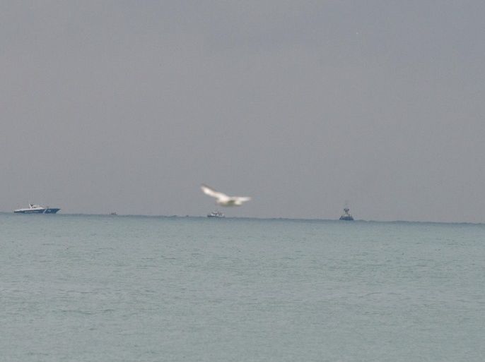 A seagull flies by as ships are seen in the Black Sea near the resort city of Sochi, Russia December 25, 2016. REUTERS/Yevgeny Reutov FOR EDITORIAL USE ONLY. NO RESALES. NO ARCHIVES.