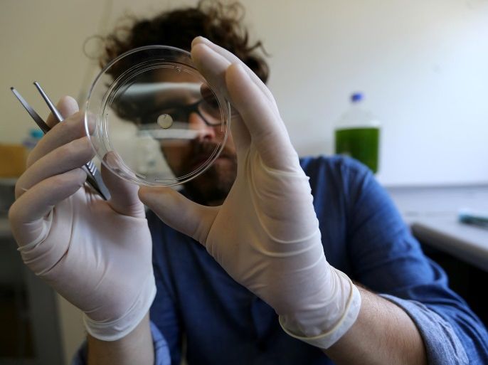 University professor, Tomas Egana, holds up a sample of artificial skin before being impregnated and coloured in green with a microalgae to allow artificial skin produce oxygen and breathe, in Santiago, Chile, November 24, 2016. Picture taken November 24, 2016. REUTERS/Ivan Alvarado