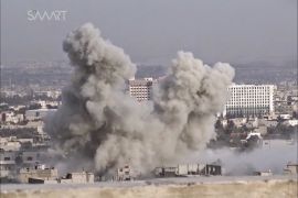 قوات النظام تستهدف مزارع برزة في العاصمة دمشق
