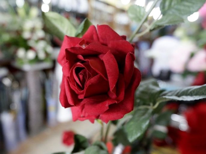 A view of a red rose made of fabric in a flower shop ahead of Valentine's Day in Abidjan, Ivory Coast, 13 February 2017. Valentine's Day, celebrated all over the world on 14 February, is the day dedicated to express love.