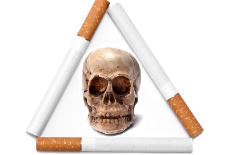التدخين يقود للموت smoking smoker وكالة دريمزتايم-مارسيل