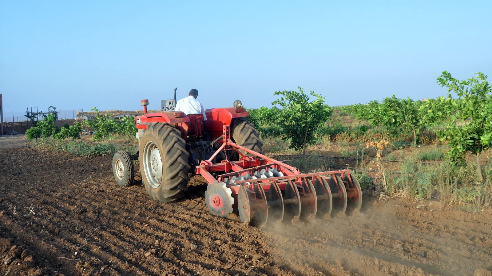 الإنتاج الزراعي عزز النمو في المغرب في الربع الأول (الجزيرة)