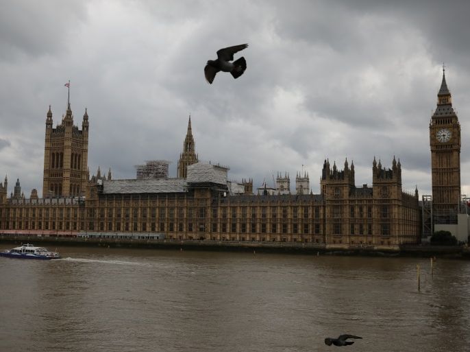 Birds fly past the Houses of Parliament, in central, London, Britain, June 24, 2017. Britain's parliament was hit by a cyber attack on Saturday in which hackers tried to access email accounts, politicians and officials said, just over a month after a ransomware attack crippled parts of the country's health service. REUTERS/Marko Djurica
