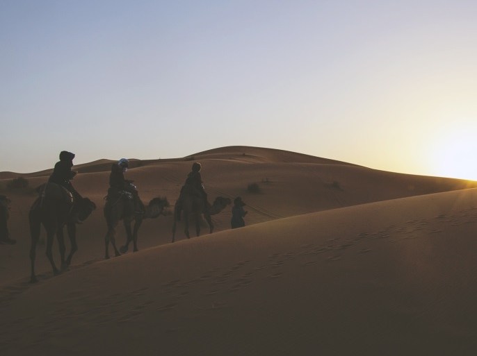 blogs الجمال فى الصحراء