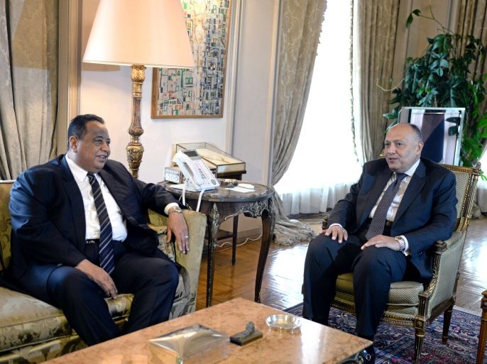 Egypt's Foreign Minister Sameh Shoukry (R) is pictured during a meeting with his Sudanese counterpart Ibrahim Ghandour in Cairo, Egypt June 3, 2017. REUTERS/Mohamed Abd El Ghany