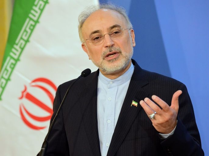 Ali Akbar Salehi, the head of Iran's Atomic Energy Organisation speaks at a press conference with Hungary's Minister of External Economy and Foreign Affairs (not pictured) in Budapest on February 19, 2016. / AFP / ATTILA KISBENEDEK (Photo credit should read ATTILA KISBENEDEK/AFP/Getty Images)
