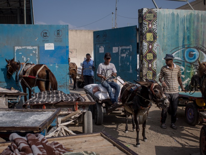 العربات التي تجرها البغال والحمير باتت وسيلة لنقل البضائع في ظل ارتفاع أسعار الوقود في غزة