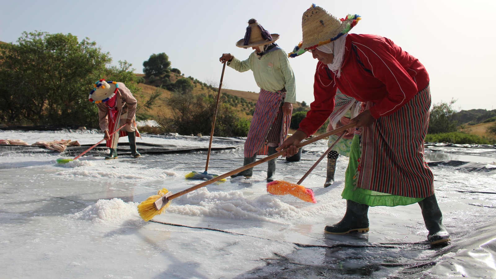 من تقرير عيون الملح شمال المغرب حيث تعتاش نساء القرية على جمع الملح من مياه النبع (الجزيرة)