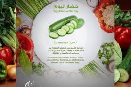 الخيار خيار cucumber بوستر خضار اليوم: خيار، المصدر: صفحة مؤسسة الرعاية الصحية الأولية على الفيسبوك.