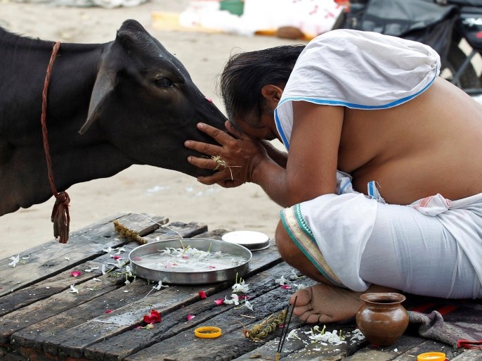 A Hindu devotee offers prayers to a cow after taking a holy dip in the waters of Sangam, a confluence of three rivers, the Ganga, the Yamuna and the mythical Saraswati, in Allahabad, India, September 28, 2016. REUTERS/Jitendra Prakash TPX IMAGES OF THE DAY