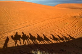blogs - قافلة في الصحراء