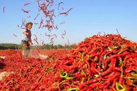 A man spreads red chili peppers to dry at a village in Zhangye, Gansu province, China September 20, 2017. Picture taken September 20, 2017. REUTERS/Stringer ATTENTION EDITORS - THIS IMAGE WAS PROVIDED BY A THIRD PARTY. CHINA OUT. NO COMMERCIAL OR EDITORIAL SALES IN CHINA.