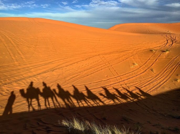 مدونات - حضارة صحراء جمال قافلة عرب