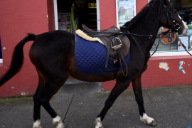 A man walks his pony past a shop during the annual horse fair in Ballinasloe, Ireland October 1, 2017. REUTERS/Clodagh Kilcoyne